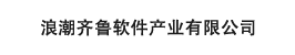 浪潮齊魯軟件產(chǎn)業(yè)有限公司